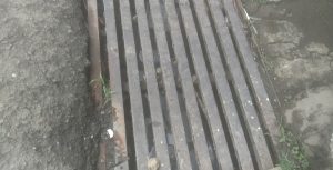 Screenshot 2022 11 16 12 31 14 493 com.google.android.apps .photos