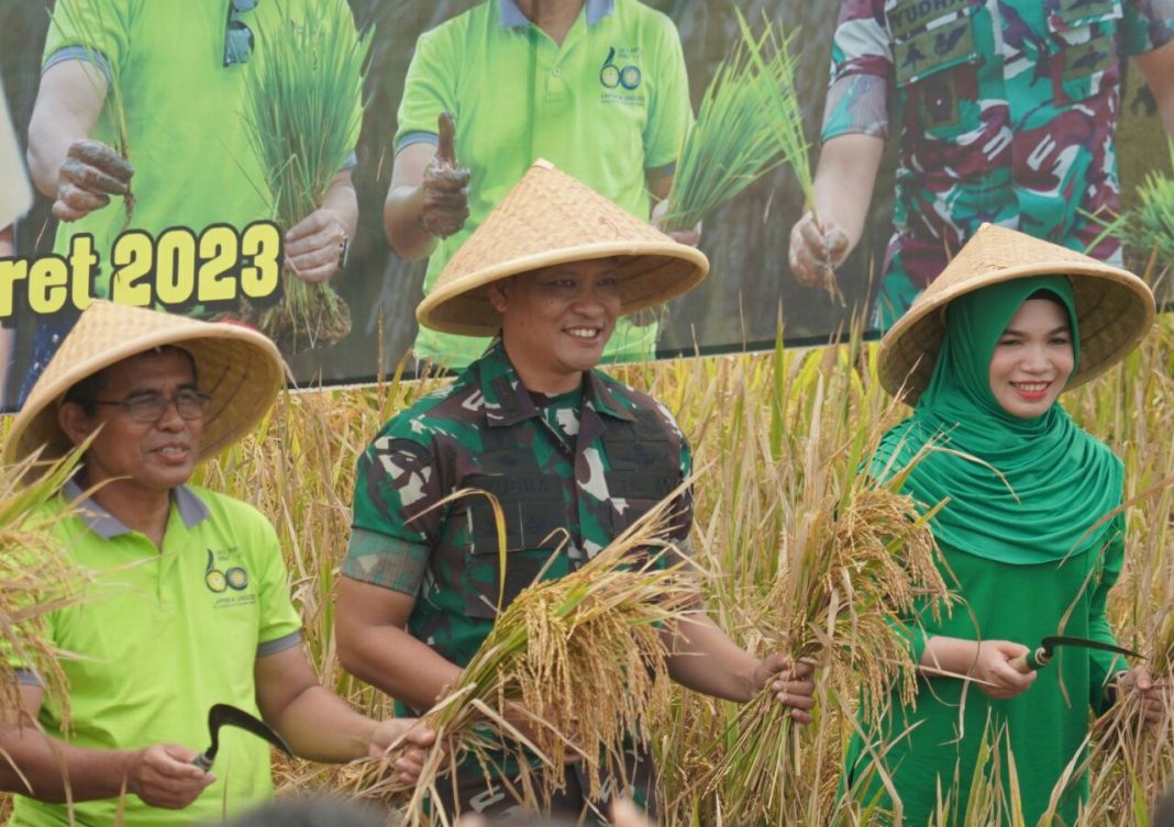 Korem 071 Wijayakusuma dan Fakultas Pertanian Unsoed Panen Perdana Padi Protani dan Protangguh