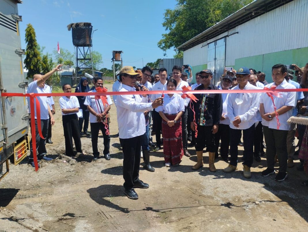 Gubernur NTT Kunjungi Area Produksi Pertanian dan Peternakan di Desa Oepuah Utara, Biboki Moenleu