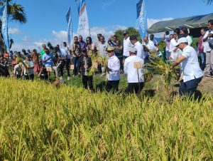 Gubernur NTT Kunjungi Area Produksi Pertanian dan Peternakan di Desa Oepuah Utara, Biboki Moenleu