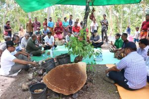 Gubernur NTT Hadiri Upacara Ritual Panen Madu Masyarakat Desa Naitae Kabupaten Kupang