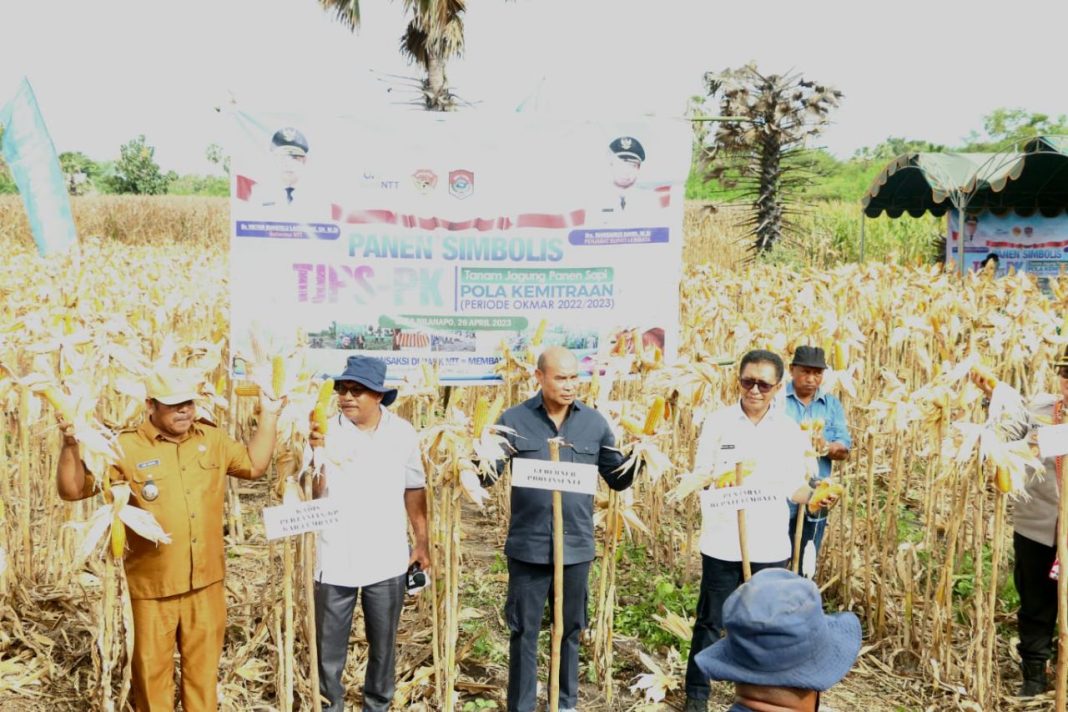 Gubernur NTT Apresiasi Program TJPS di Kabupaten Lembata