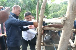 Gubernur NTT Apresiasi Program TJPS di Kabupaten Lembata
