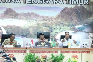 Konsep Free Trade Zone di Perbatasan RI-RDTL adalah Sebuah Konsep Unik di Indonesia