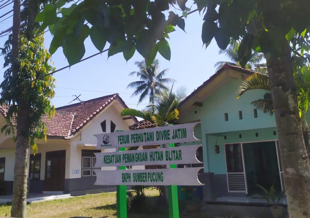 Diduga Ada Permainan dalam Kawasan Petak Kerja BKPH Sumberpucung KPH Blitar