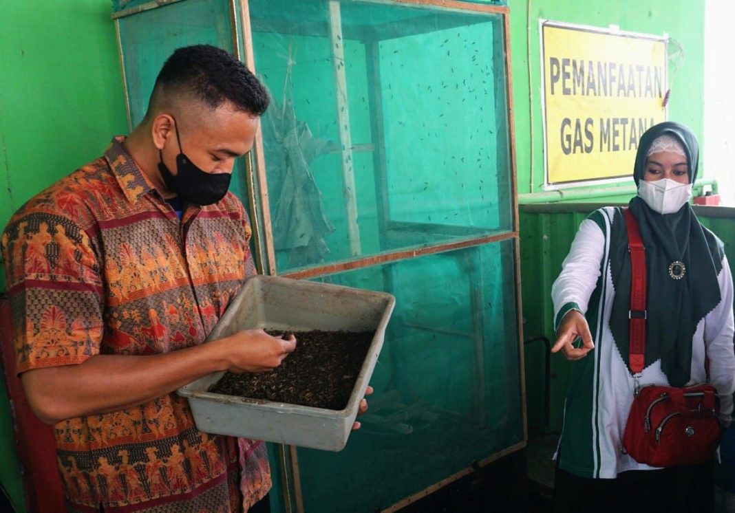Inovatif, Pemkab Bojonegoro Kurangi Sampah Organik dengan Cara Budi Daya Maggot
