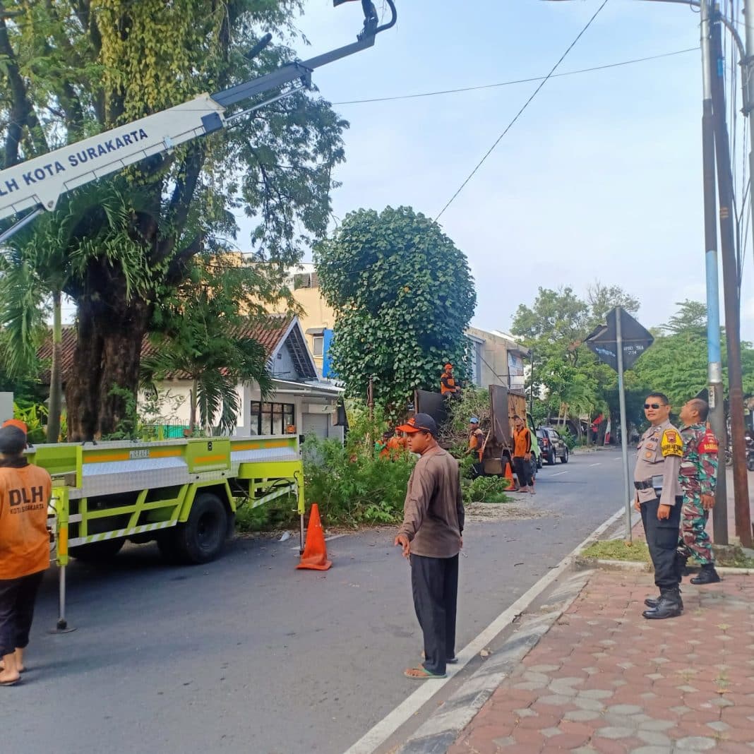 Antisipasi Pohon Tumbang, Babinsa Sondakan Dampingi Perampingan Pohon di Wilayah Binaan