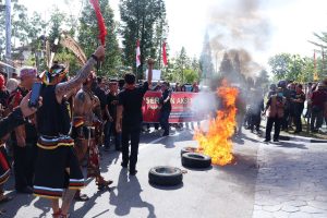 Bakar Ban dan Sembelih Ayam, Aliansi Masyarakat Dayak Kalbar Demo di Polda Kalbar, Desak Polisi Tangkap dan Proses Rocky Gerung