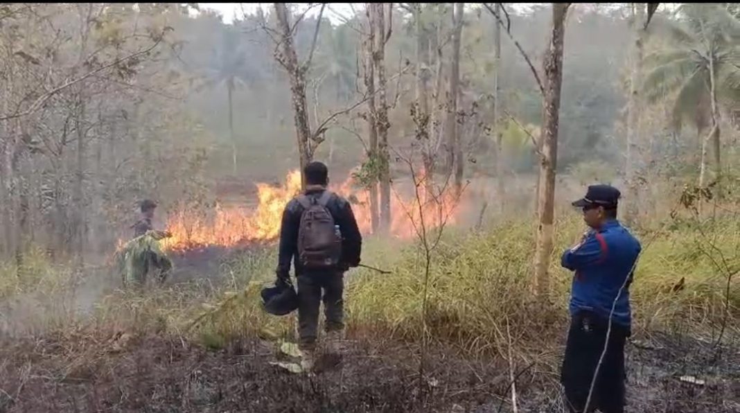 Kebakaran Kebun Jati Di Panyarang, Sidareja, Bhabinkamtibmas Polsek Berhasil Memadamkan Api Dibantu Damkar