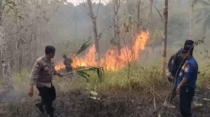 Kebakaran Kebun Jati Di Panyarang, Sidareja, Bhabinkamtibmas Polsek Berhasil Memadamkan Api Dibantu Damkar