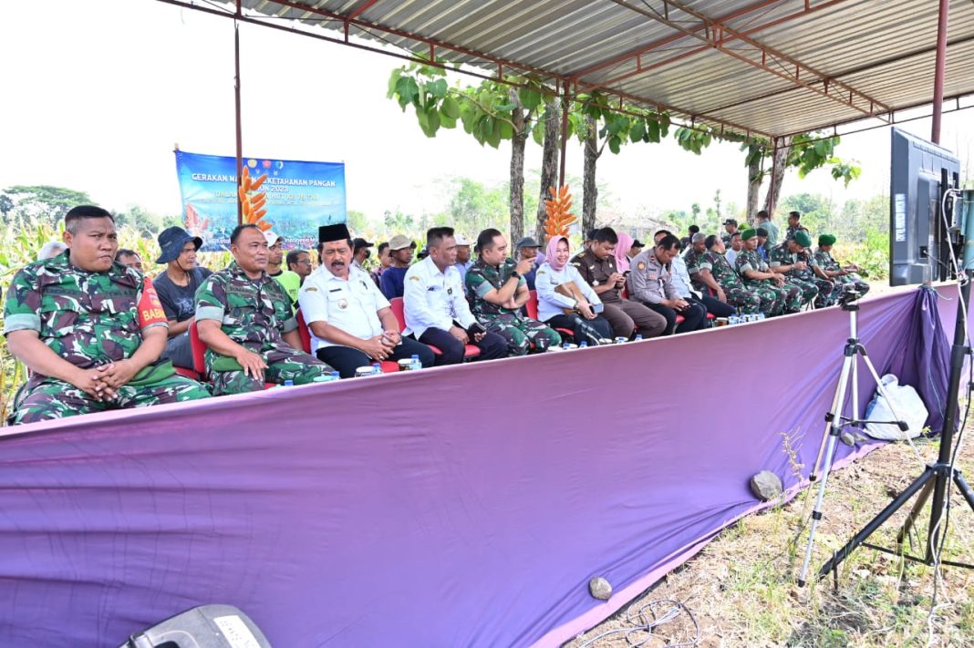 WhatsApp Image 2023-11-02 at 14.07.23 Kodim 0726/Sukoharjo Gelar Vicon Gerakan Nasional Ketahanan Pangan di Lahan Demplot Desa Celep