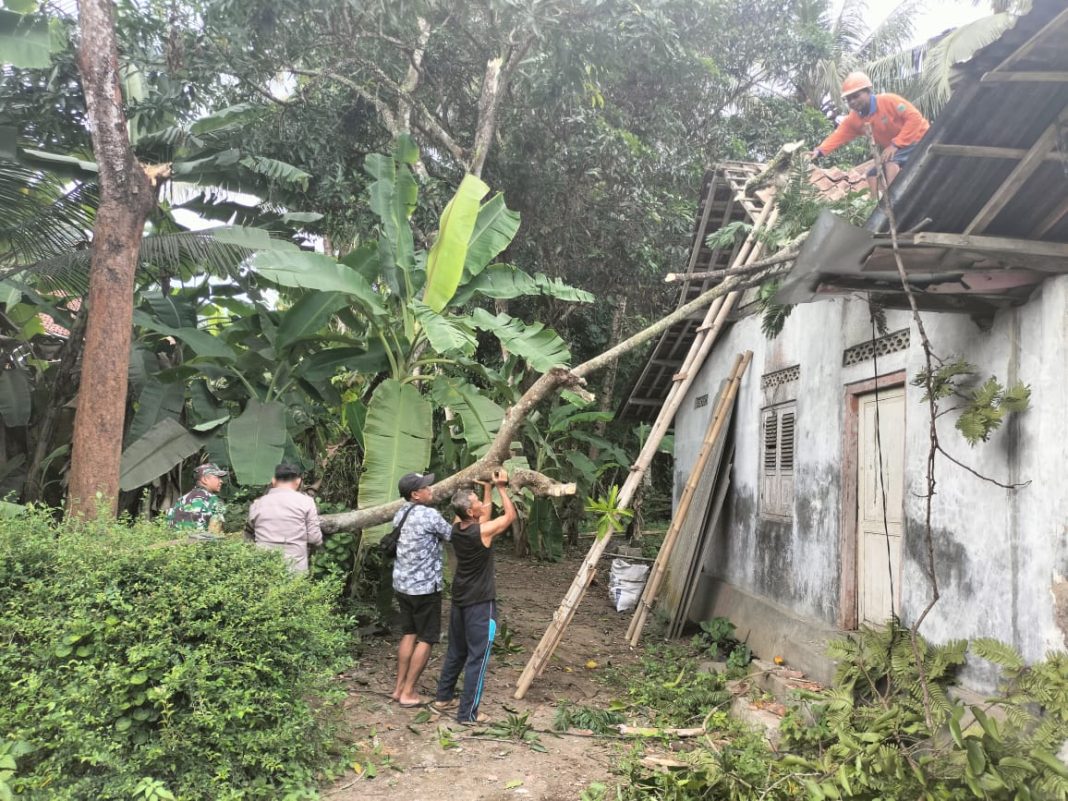 Hujan Disertai Angin Kencang, 2 Rumah Warga di Kebumen Tertimpa Pohon Tumbang