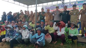 Pj Wako dan Kapolres serta Dandim 0406, Panen Raya Padi dan Buah Semangka