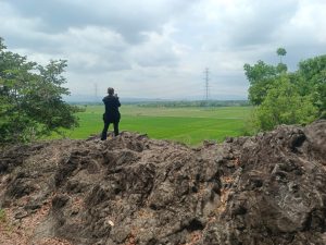 Hamparan Persawahan Hijau terbentang dari Sisi Utara Ke Selatan, Panorama Keindahan Alam Yang Cantik Dan Asri, Di Atas Bukit Gunung Gersang.