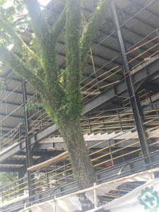 IMG 20241023 WA0053