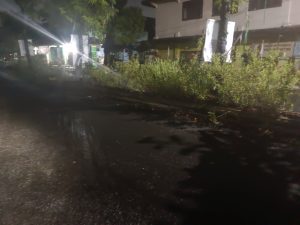 Pohon Pohon perindang yang memfilter kestabilan udara di pembatas jalan justru dipaku dan difungsikan sebagai media promosi oleh oknum oknum tak bertanggung jawab