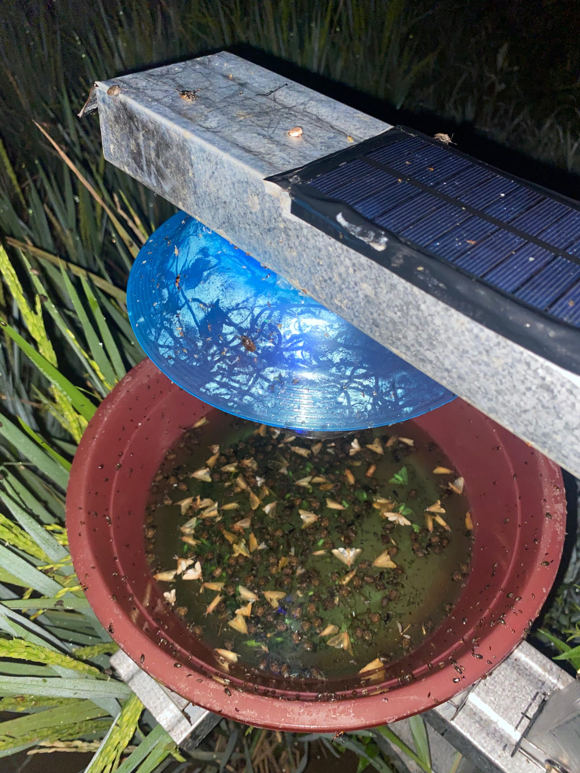 IMG 20250125 WA0031 scaled