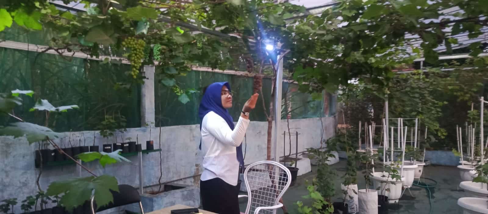 IMG 20250630 WA0258