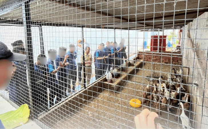 Akselerasi Ketahanan Pangan Di Lapas Klaten: WBP Berdaya Dengan Budidaya Bebek Petelur