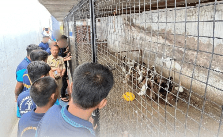 Akselerasi Ketahanan Pangan Di Lapas Klaten: WBP Berdaya Dengan Budidaya Bebek Petelur