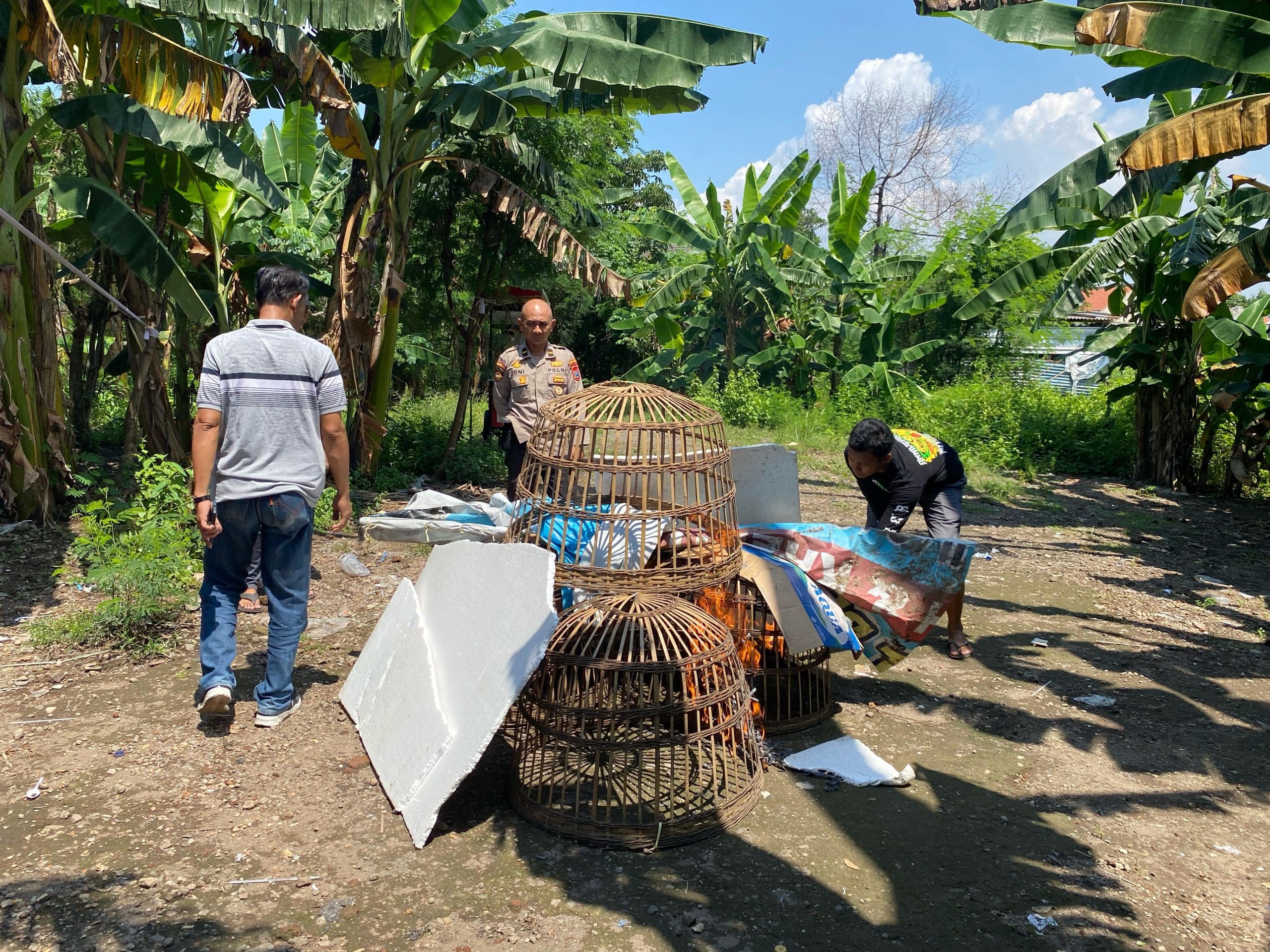 IMG 20250903 WA0001 scaled