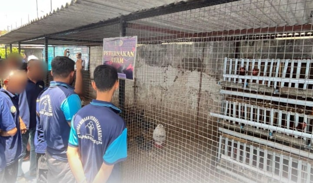 Screenshot 20250922 191056