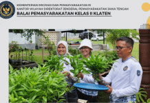 Panen Kangkung Di Bapas Klaten: Dukung Ketahanan Pangan, Berdayakan Warga Binaan, Dan Tingkatkan Kebersamaan