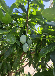 20251031 200718 0000