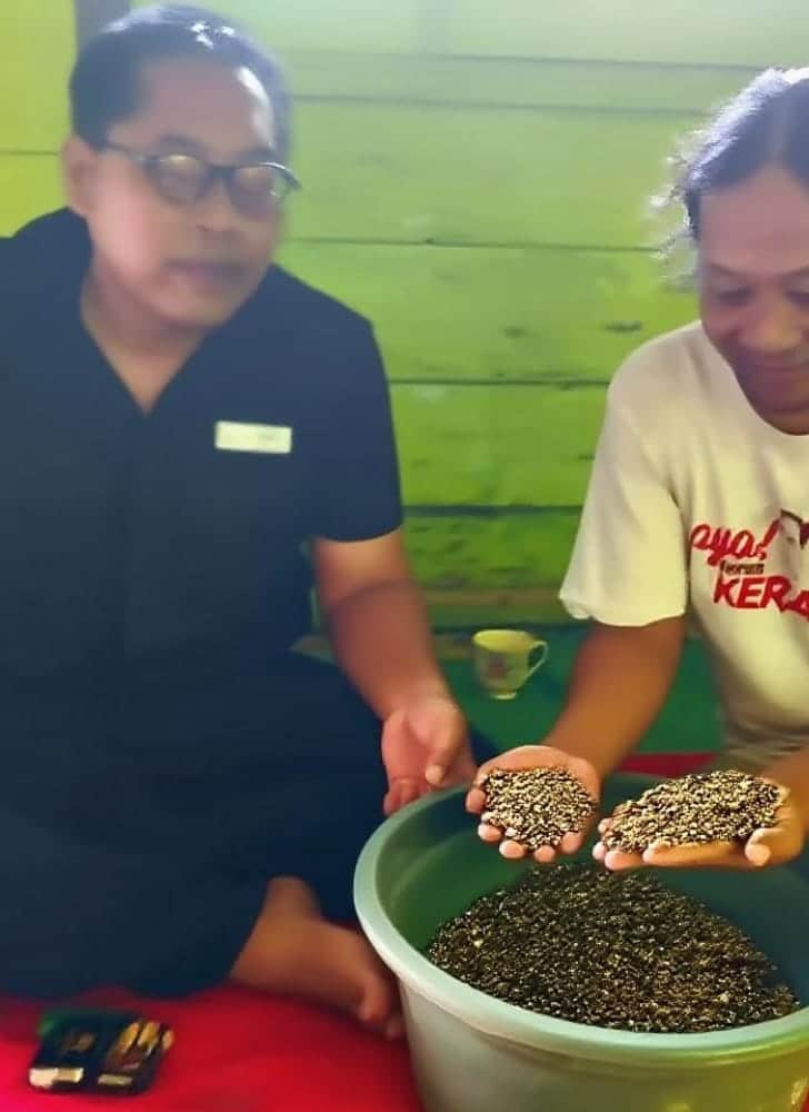 FORMADES Kendal Dukung Ekonomi Petani Kopi Sukorejo