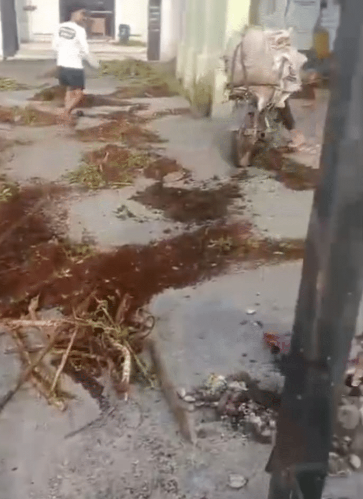 1 20251127 044709 0000