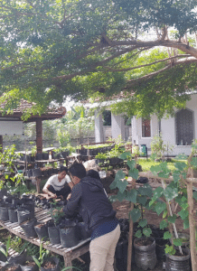 20251104 181739 0000