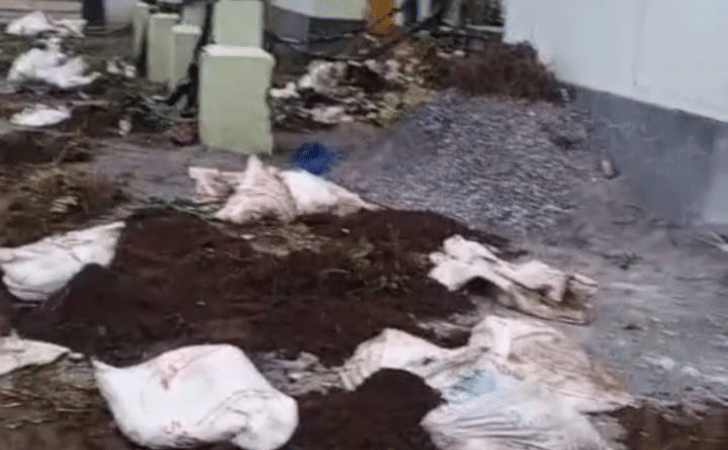 2 20251127 044451 0001