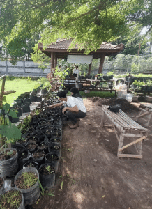 Desain tanpa judul 20251104 181835 0000