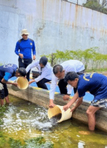 Desain tanpa judul 20251111 211349 0000