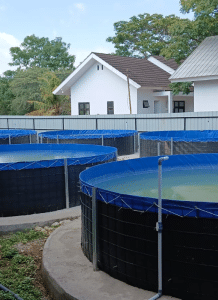 Desain tanpa judul 20251128 132758 0000