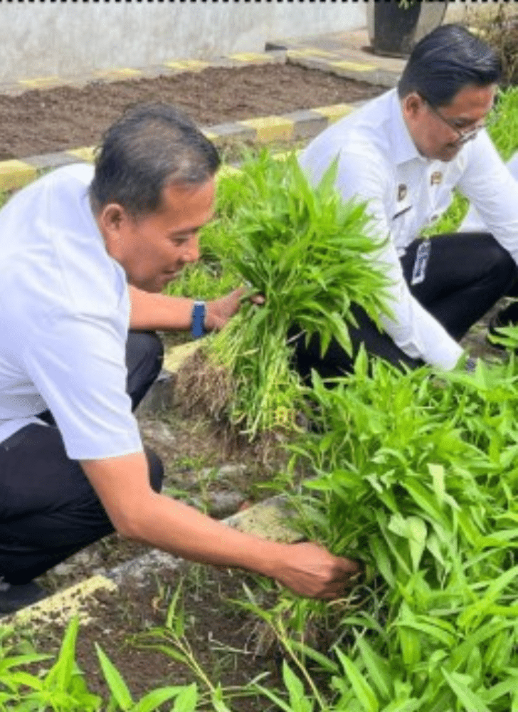 Desain tanpa judul 20251209 165621 0000