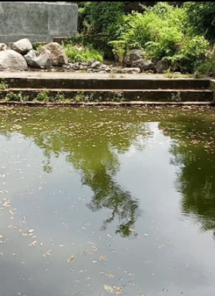 Desain tanpa judul 20251214 221125 0000