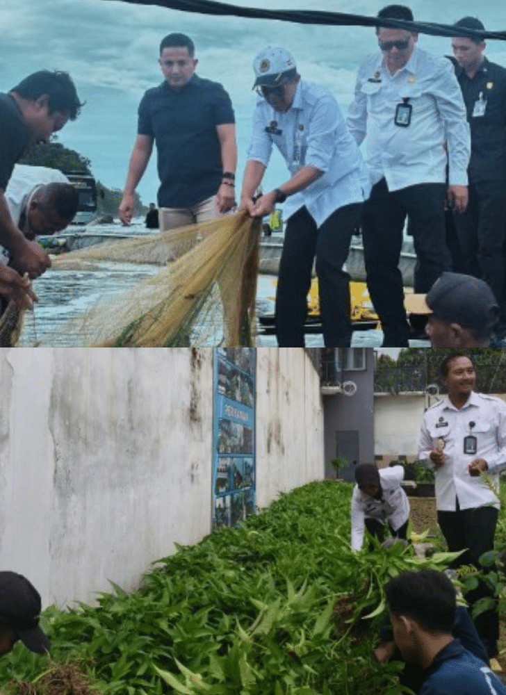 Desain tanpa judul 20260115 170733 0000