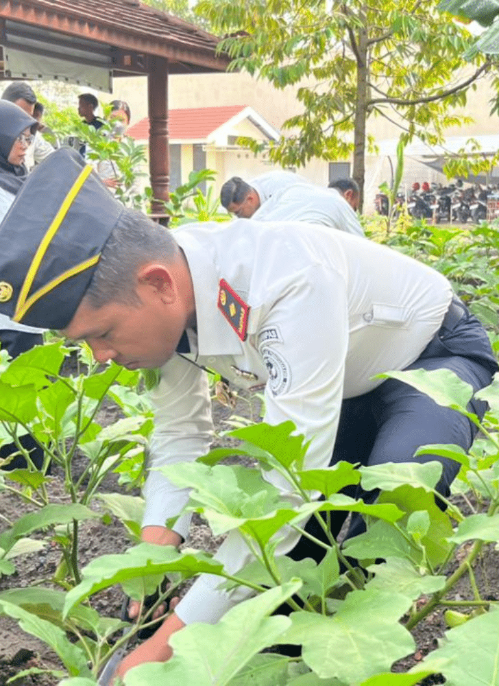 Desain tanpa judul 20260203 165555 0000