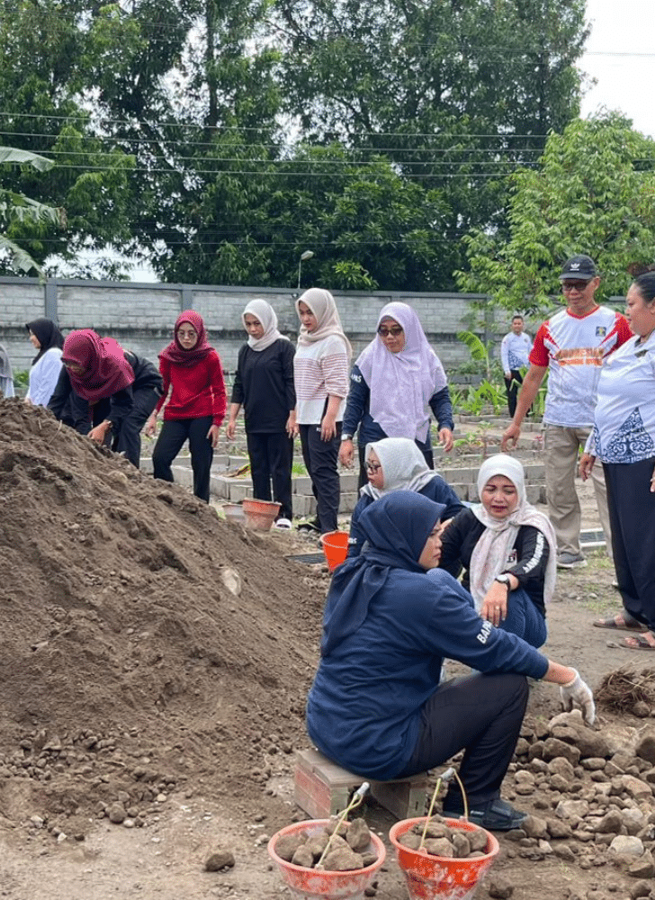 Desain tanpa judul 20260206 154200 0000 1