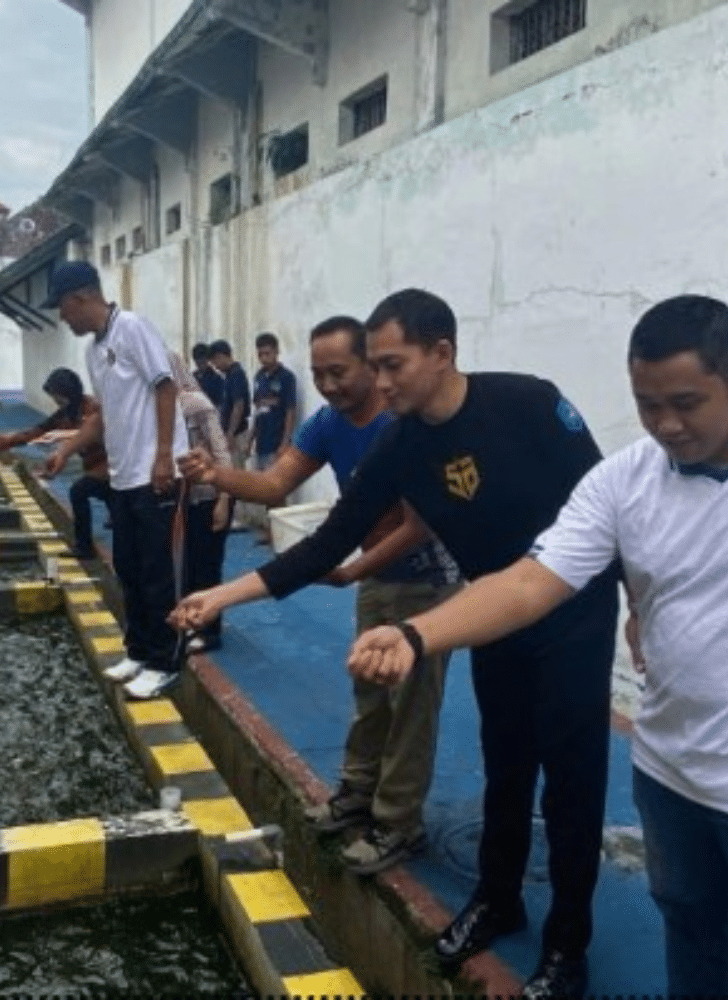 Desain tanpa judul 20260207 070106 0000