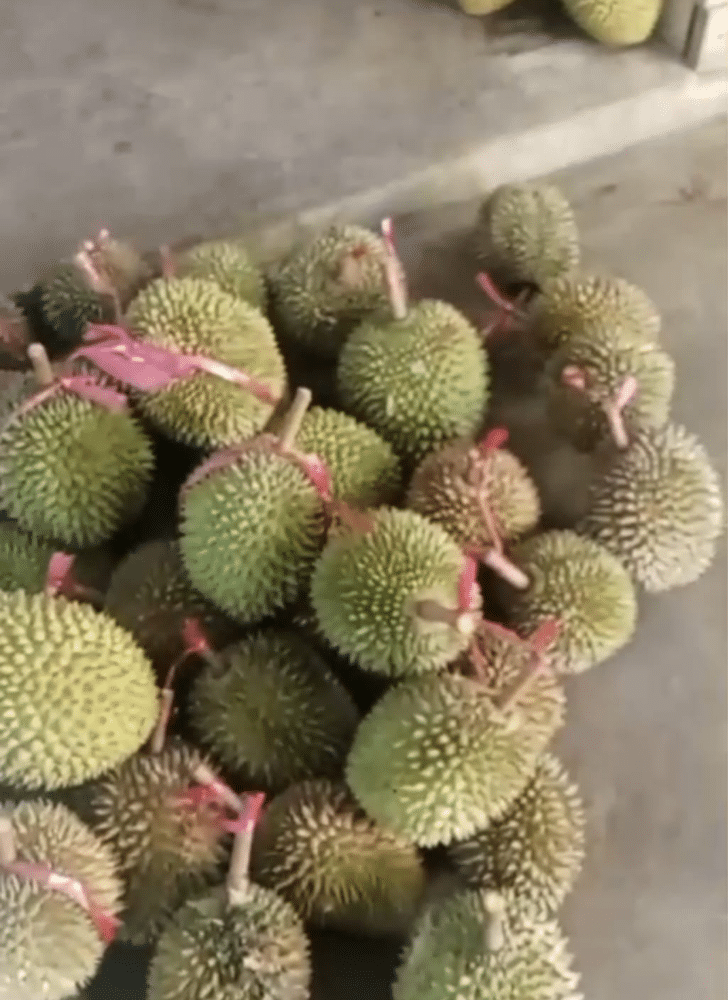 20260404 172519 0000