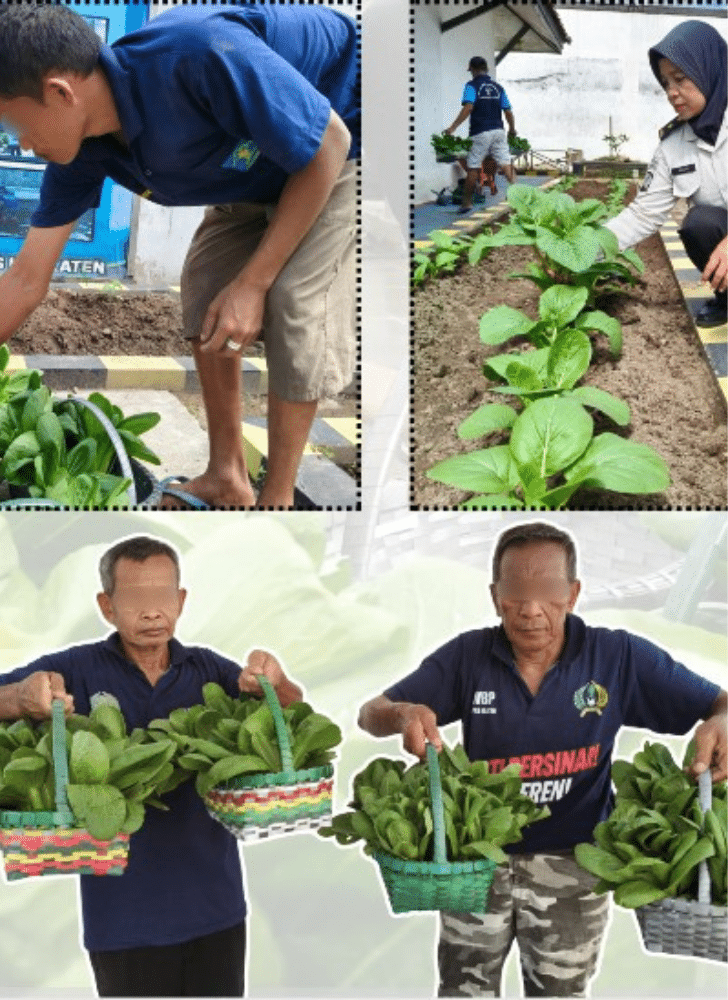 Desain tanpa judul 20260429 114503 0000