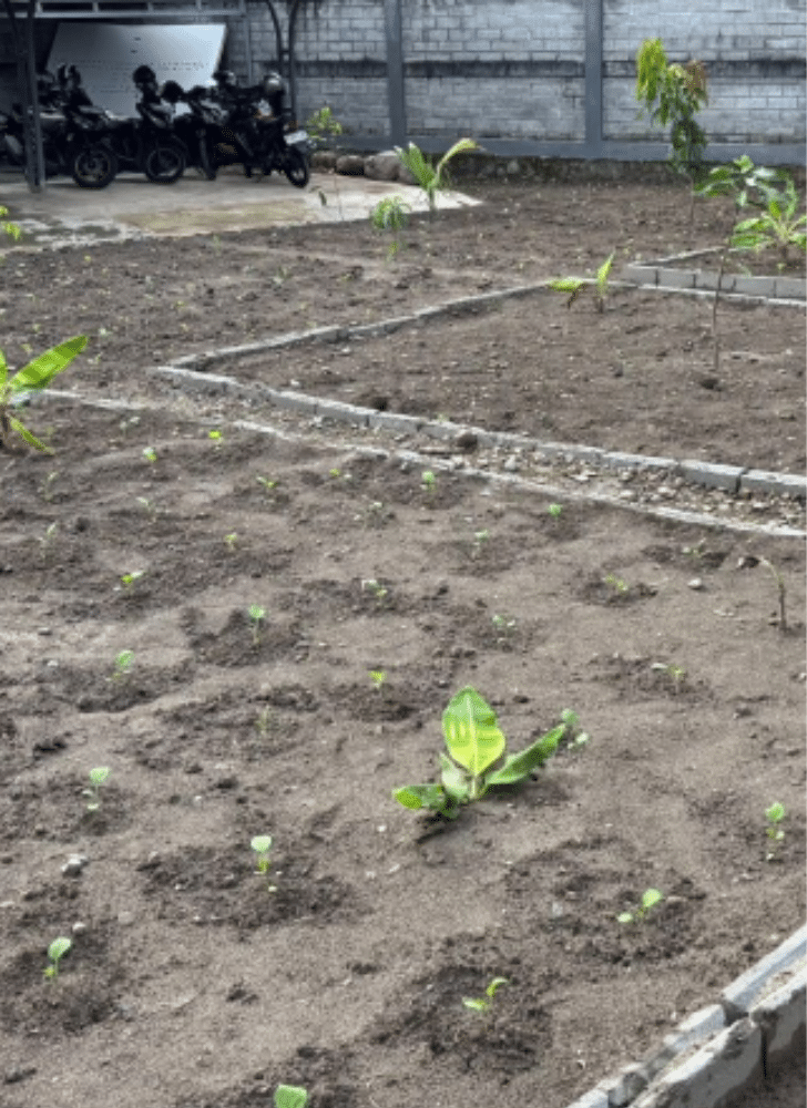 Desain tanpa judul 20260429 165600 0000