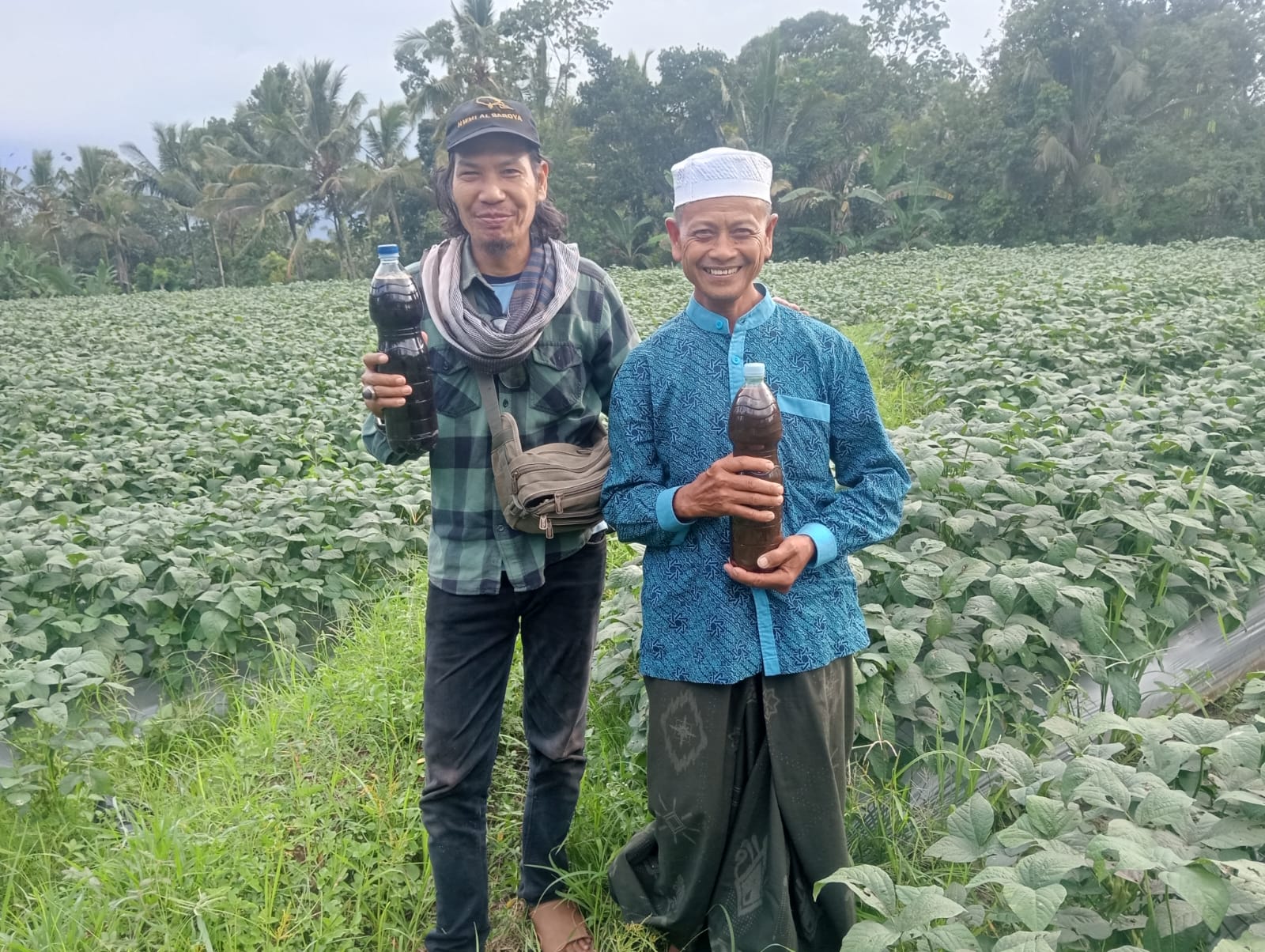 Aplikasikan Pupuk Organik ECO Enzyme Superboster pada Tanaman DAMAME