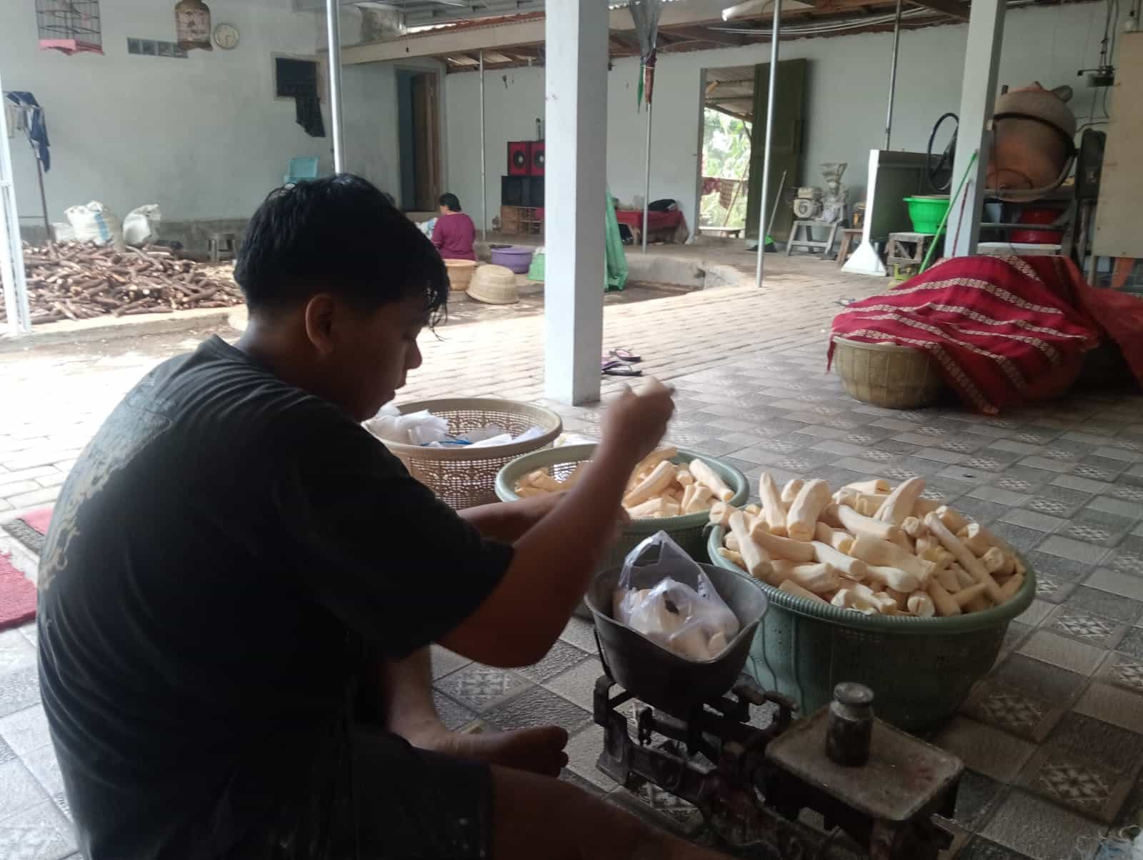 Produsen Tape Berkualitas Sidomulyo Desa Sepanjang