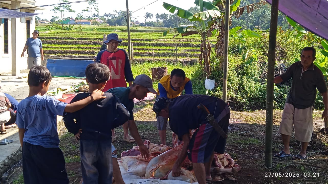 Idul Adha 2026, Dukuh Kali Suren Sembelih 3 Ekor Sapi dan 1 Ekor Kambing untuk Warga Sekitar