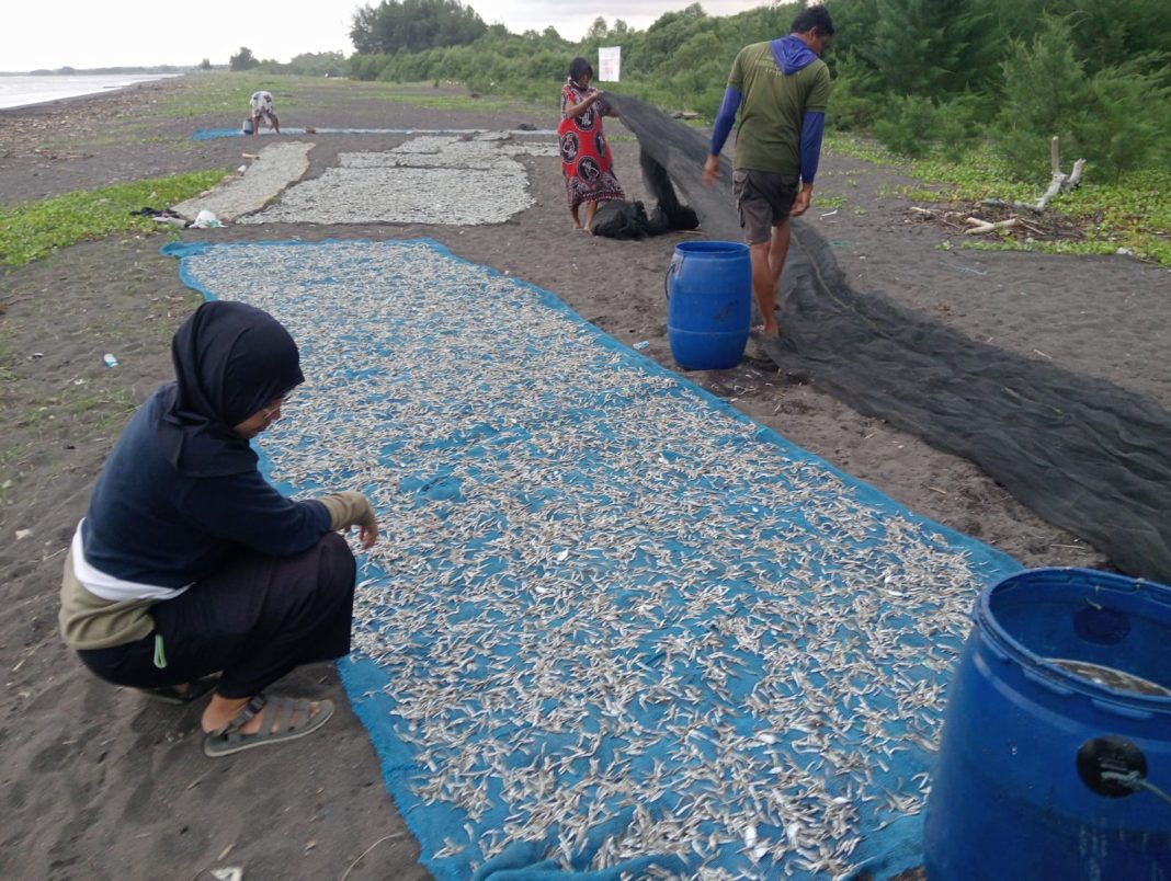 Perairan Laut Pantai Cemara Musim Teri dan Ikan Perhek