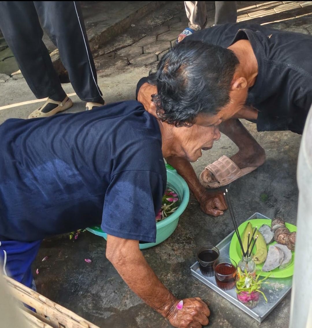 Ritual Sakral Tradisi Adat Keboan Aliyan Digelar