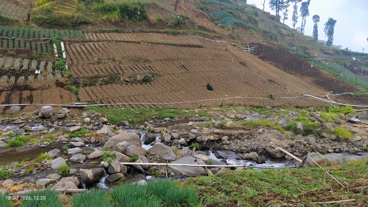 Aktivis Lingkungan Soroti Dugaan Alih Fungsi Hutan Lindung Petak 15, 1.000 Pohon Sumbangan Relawan Diduga Hilang
